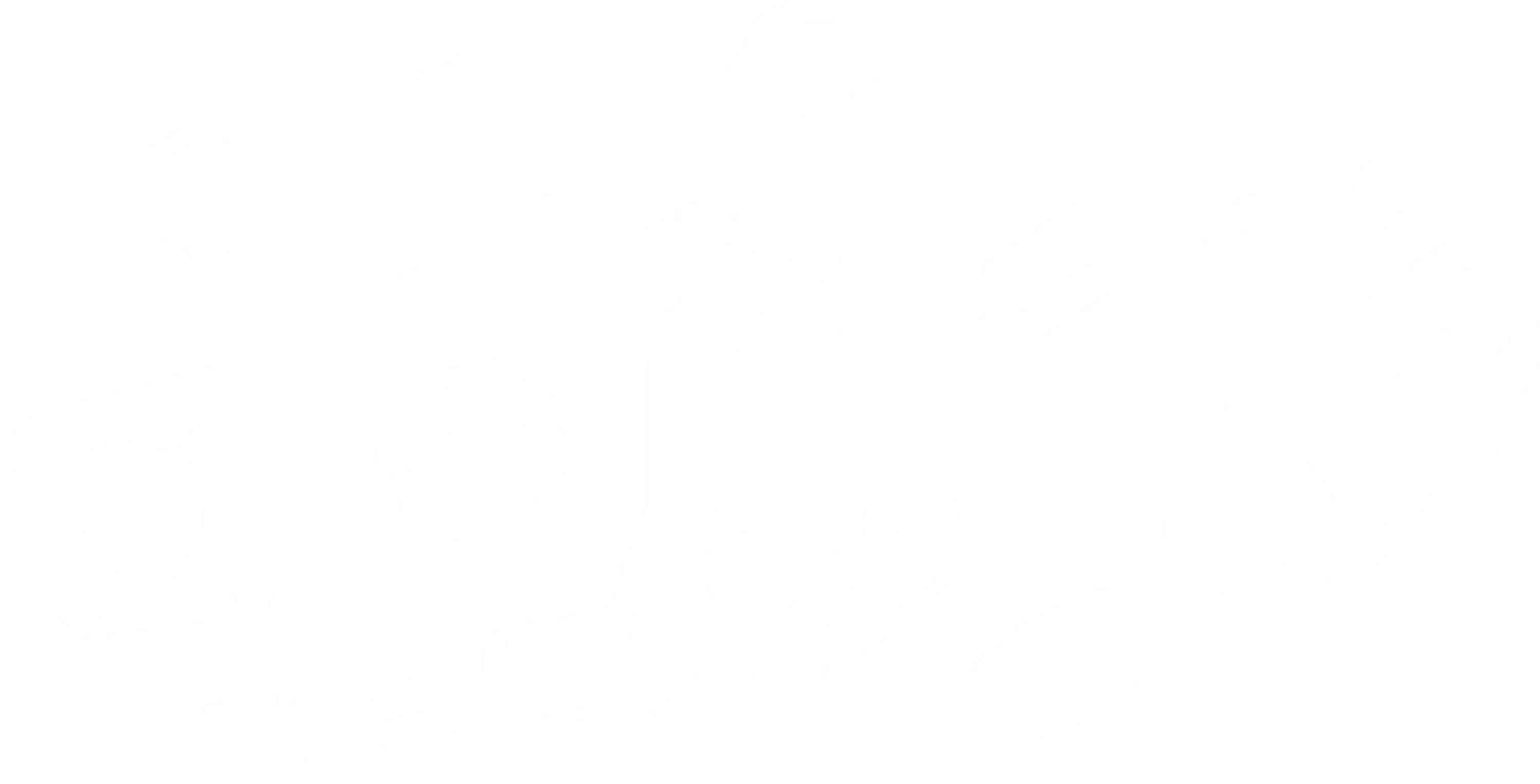 64 Audio fourte