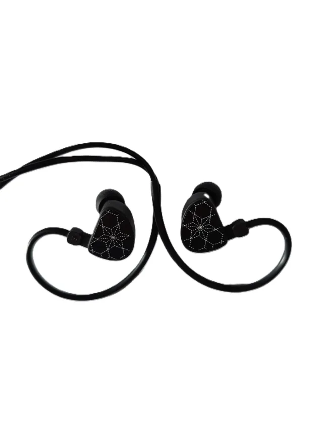 IEM Backside from the Truthear Hola review
